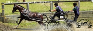 Combined Driving is similar to eventing, but with a horse and carriage. The dressage phase is first, followed by a cones phase to test accuracy and speed, and a cross country phase to test speed and endurance.