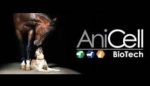 Anicell 2022 Business Card